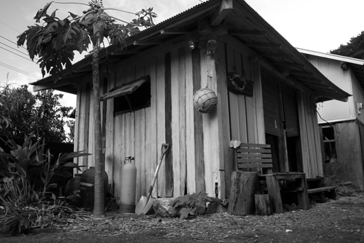 b0062363_2110830.jpg