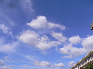 f0106664_18563392.jpg