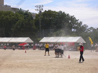 f0106664_18571089.jpg