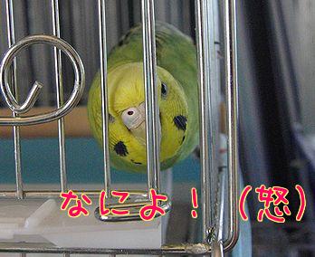 f0196665_033580.jpg