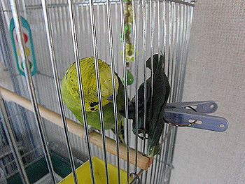 f0196665_23561168.jpg