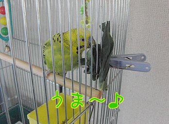 f0196665_23581487.jpg