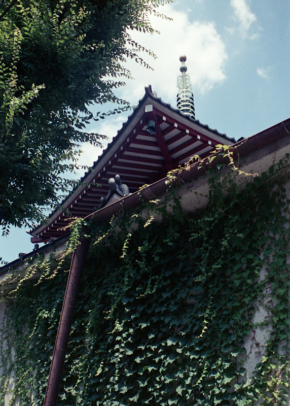 c0084666_6524011.jpg