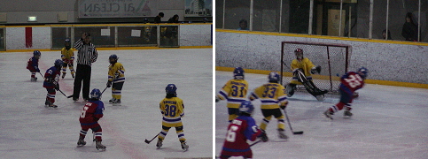 f0193466_245868.jpg