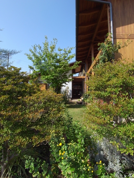 c0166668_2273416.jpg
