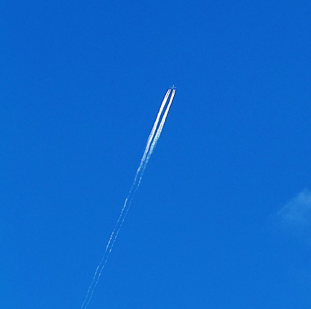 e0188168_9282680.jpg