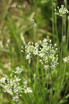 c0027369_2293211.jpg
