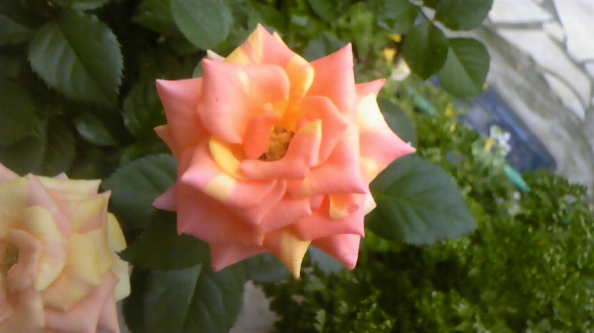 c0202870_16563198.jpg