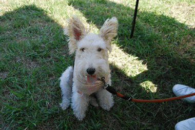 b0091373_3504359.gif