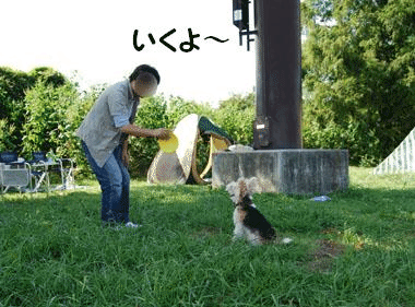 b0091373_353778.gif