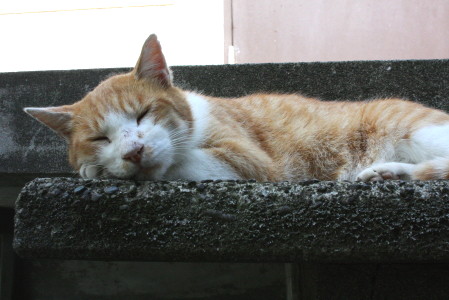 f0183274_237884.jpg