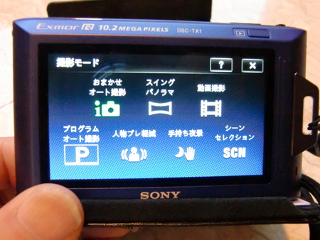 a0002177_2345431.jpg