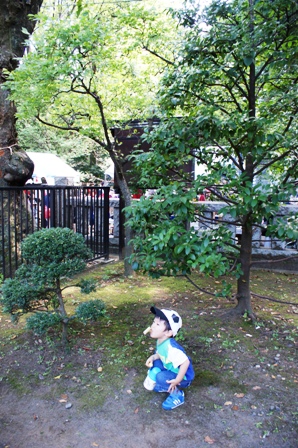 a0013479_02203.jpg