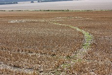 a0107981_17415998.jpg