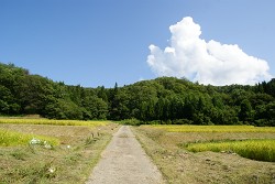 f0064192_7305114.jpg
