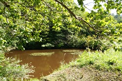 f0064192_7311154.jpg