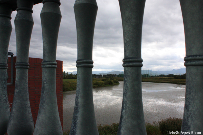f0001895_15133618.jpg