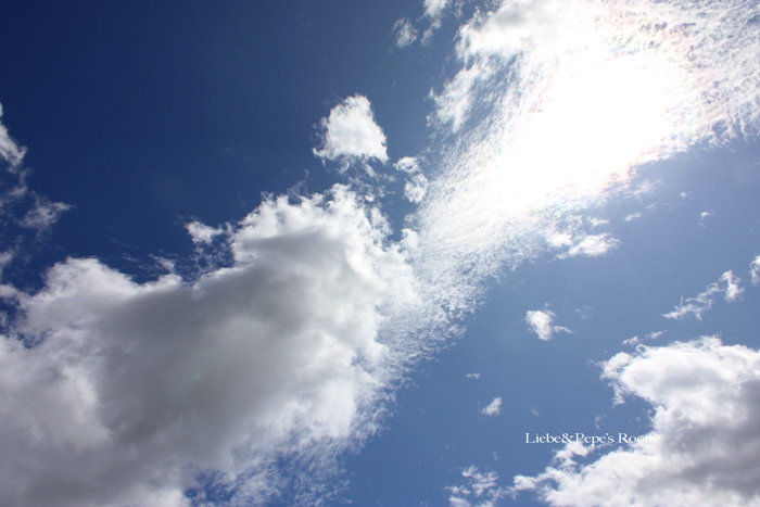 f0001895_15151896.jpg