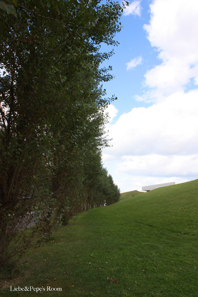 f0001895_1573682.jpg
