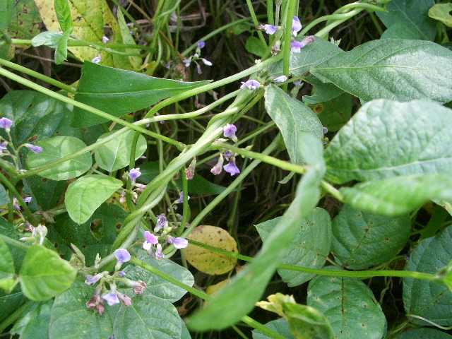 e0025300_16282616.jpg