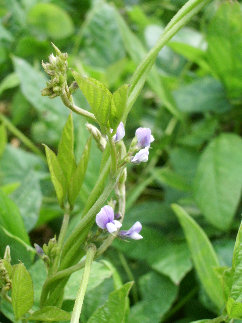 e0025300_16312298.jpg