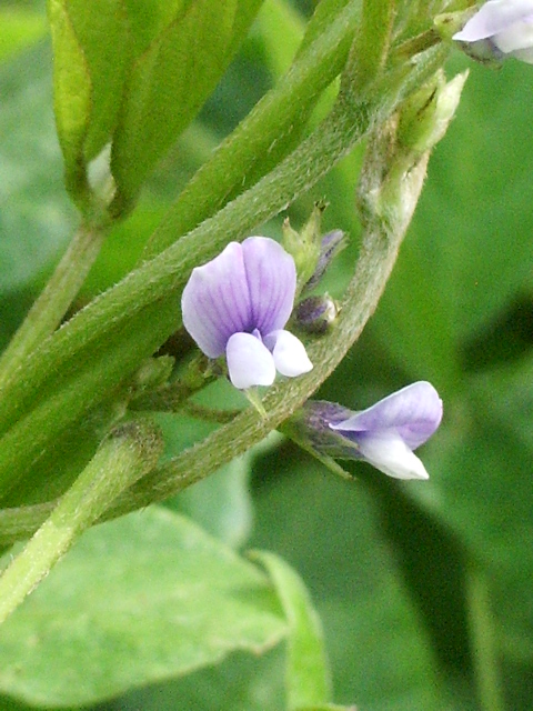 e0025300_1634839.jpg