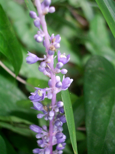 e0025300_1644281.jpg