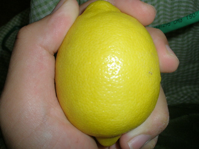 c0100901_023152.jpg