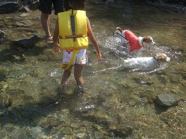 a0051402_2214743.jpg