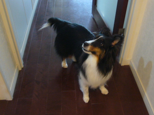 e0130008_23292497.jpg