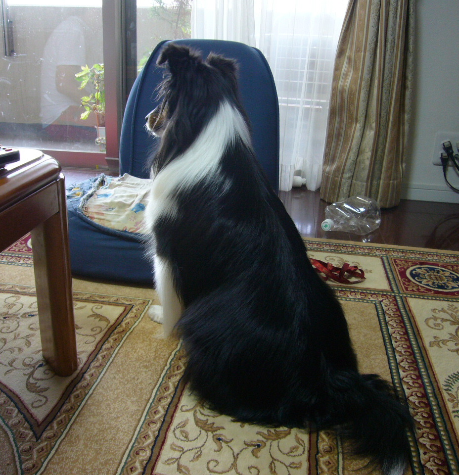 e0130008_2329891.jpg