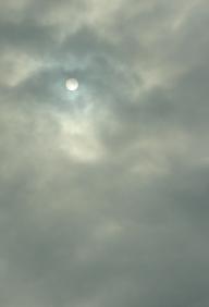 b0008511_2334854.jpg