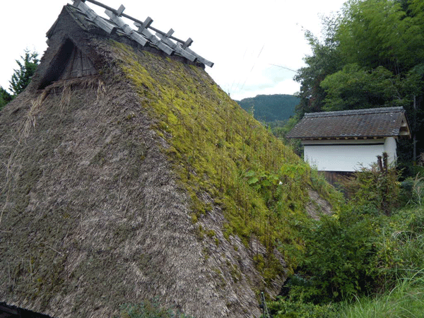 b0159611_22163793.gif