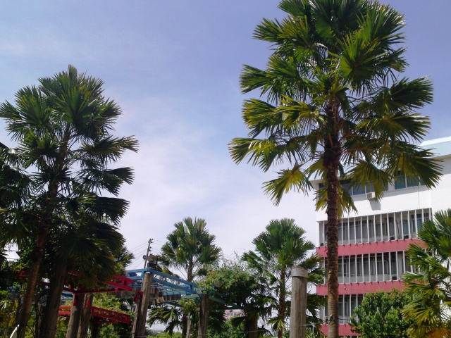 a0000014_23215340.jpg
