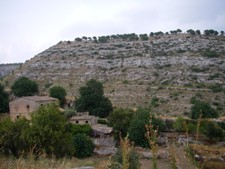 f0133814_3395857.jpg