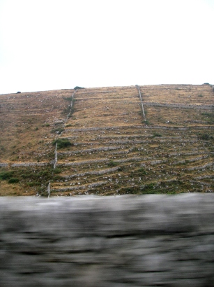 f0133814_4513542.jpg