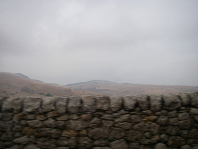 f0133814_4515756.jpg