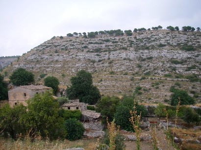 f0133814_538489.jpg