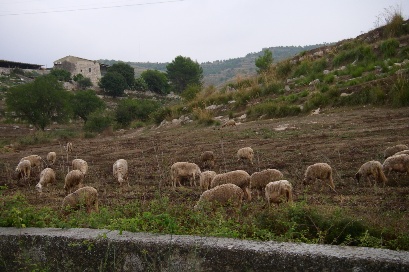 f0133814_5435643.jpg