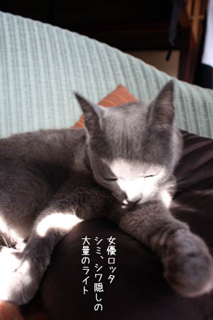 e0156015_101389.jpg