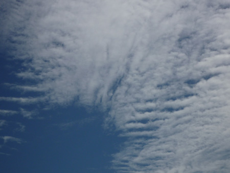 d0004426_1484214.jpg