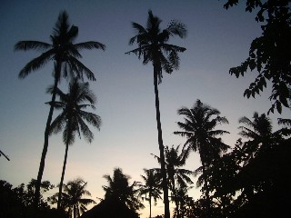 f0186531_235427.jpg