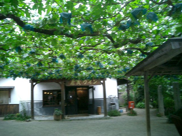 c0114833_7353598.jpg