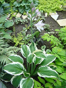 f0205733_165958.jpg