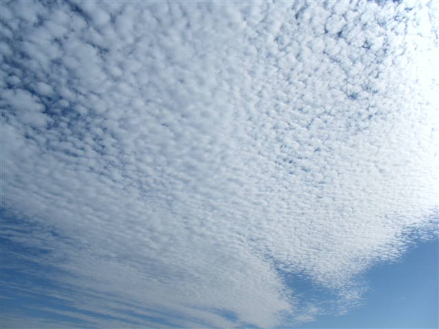 b0102639_9311788.jpg