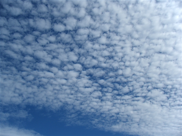 b0102639_9313237.jpg