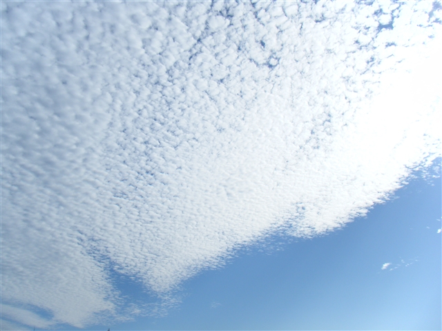 b0102639_9314857.jpg