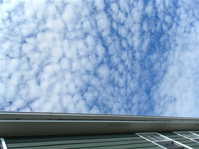 b0102639_9321526.jpg