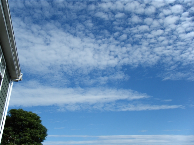 b0102639_932280.jpg