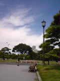 b0122441_1495697.jpg